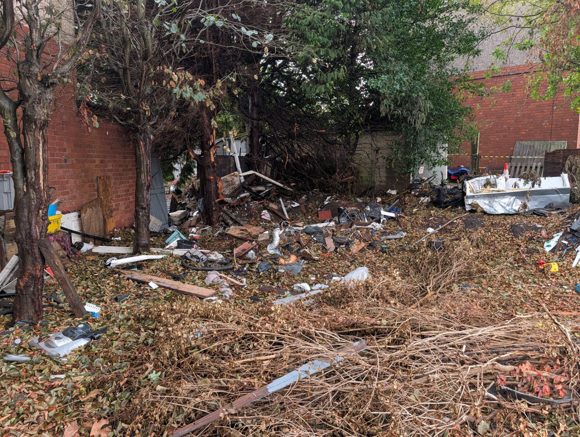 Before: overgrown yard strewn with debris and branches