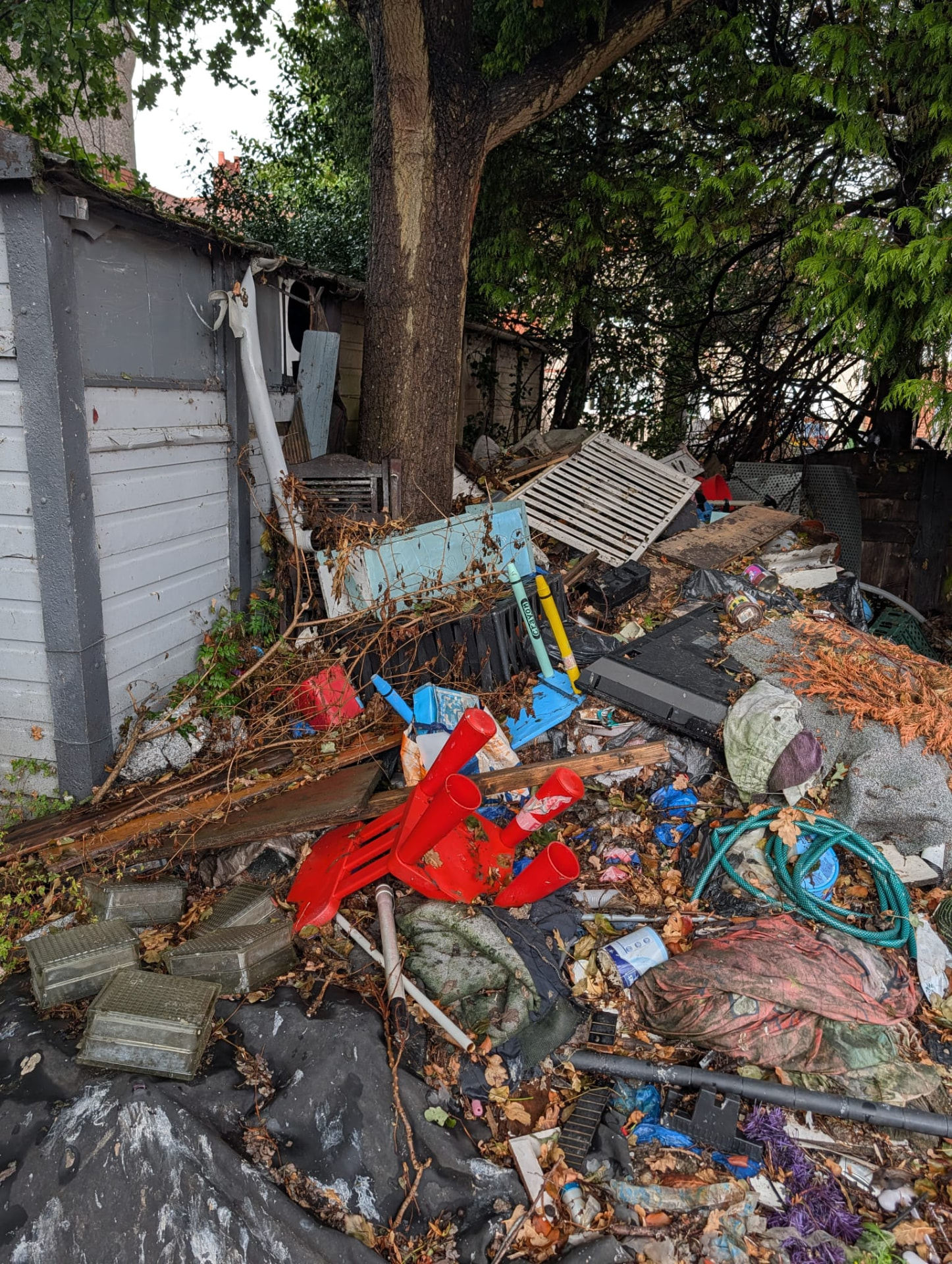 Before: shed area buried in rubbish